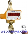 1310166052_Crane Scale.jpg